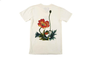 baldo red back print